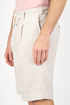 Striped Linen Blend Pleated Shorts